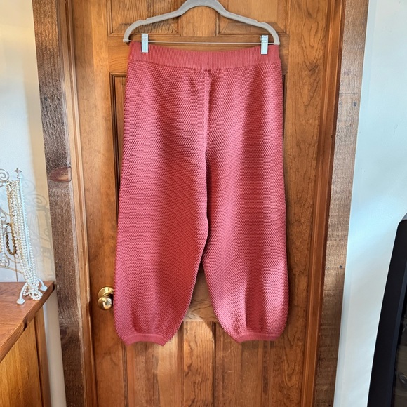 Free People Beach Canyon Sunset “Hailee” Joggers - Size XL - Picture 8 of 14